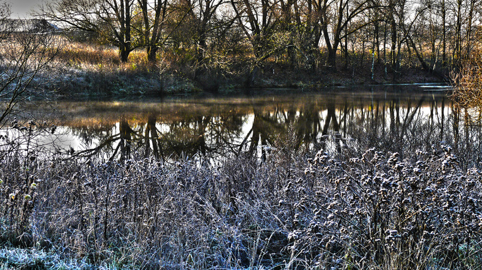 pond, nature, autumn