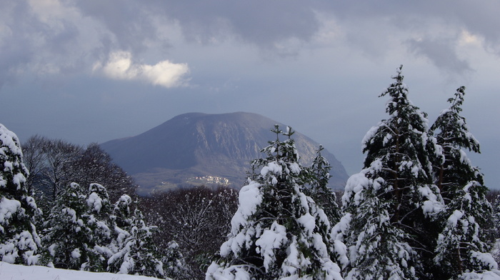 winter, nature, forest