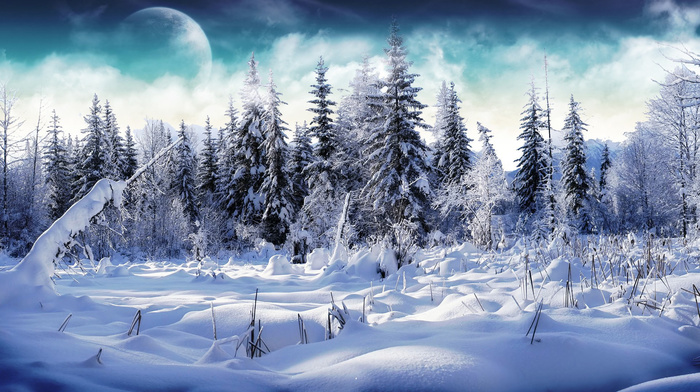 winter, landscape