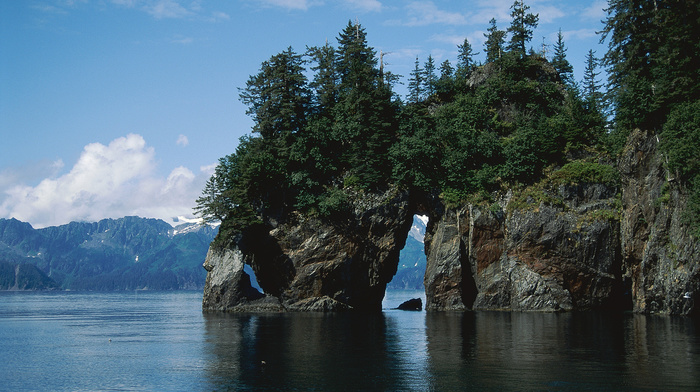 forest, sea, mountain, nature