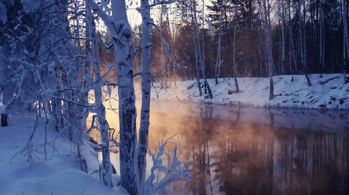 snow, nature, lake, trees, winter