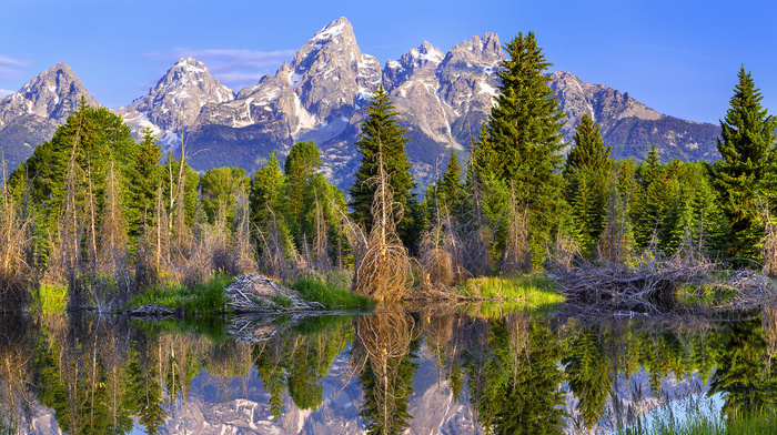 nature, lake, grass, reflection, trees, mountain