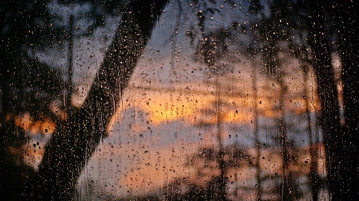 nature, drops, water, window