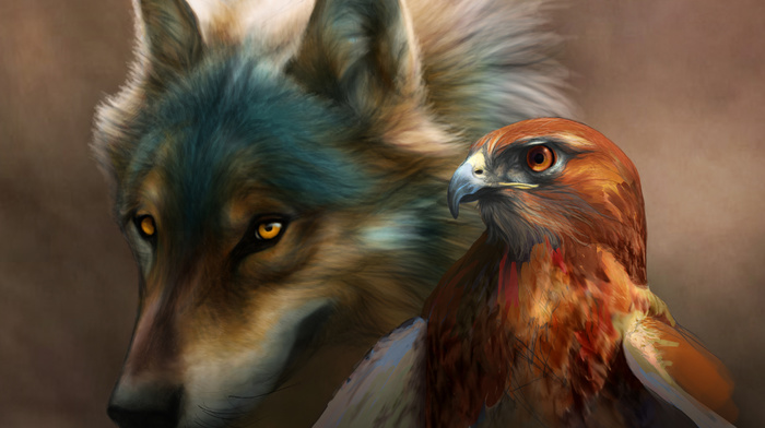 eagle, bird, wolf, painting, animals