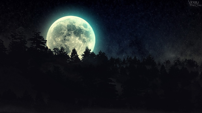 stars, night, forest, moon