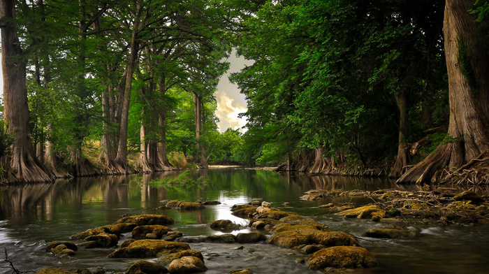 nature