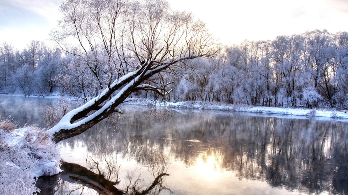 nature, winter