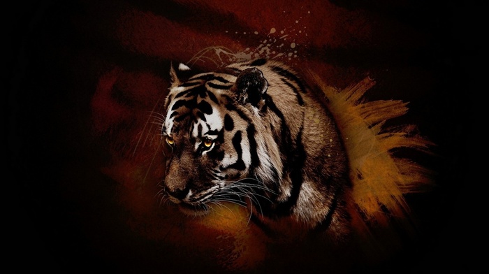 creative, background, tiger