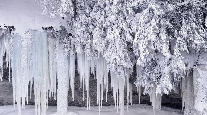 ice, frost, snow, winter