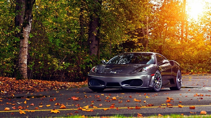 sportcar, cars, auto, autumn, gray