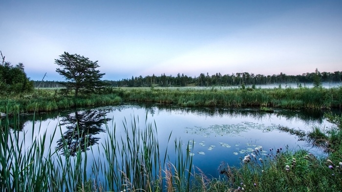lake, mist, nature