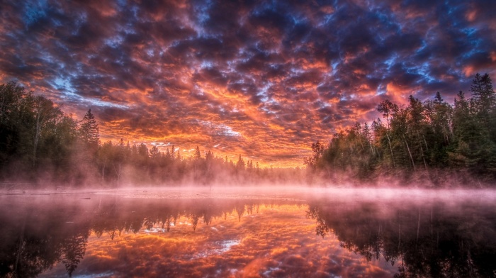 river, forest, sky, nature, mist, clouds, sunset