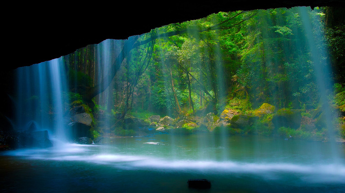 light, water, rock, nature, river, waterfall, forest