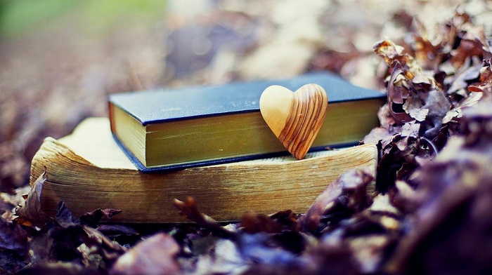 heart, stunner, books