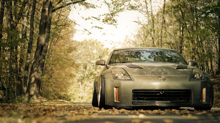 cars, autumn, road, trees, foliage, speed