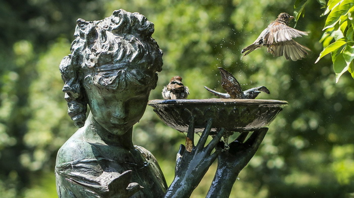 animals, water, birds, background, statue, nature