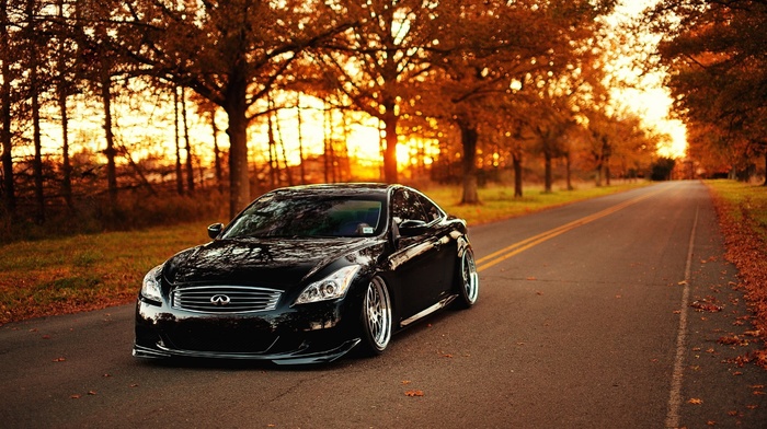 sportcar, black, nature, cars, sunset, autumn, wheels, auto