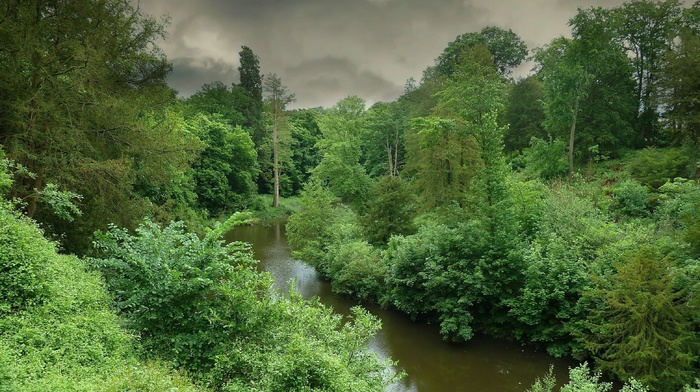 river, nature, green, forest, gray, trees, sky