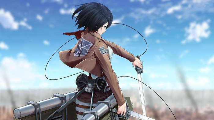 Mikasa Ackerman, Shingeki no Kyojin, anime, anime girls