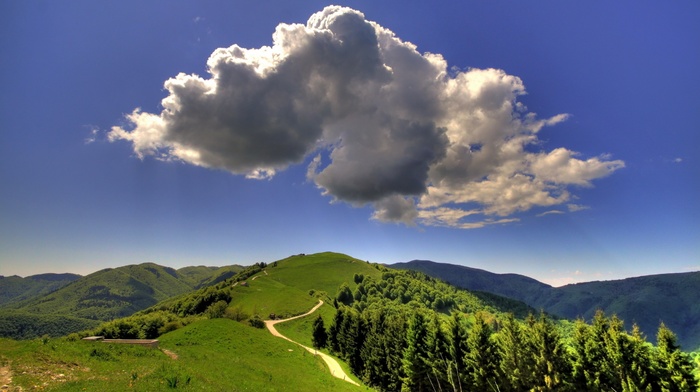 trees, landscape, clouds, nature, mountain