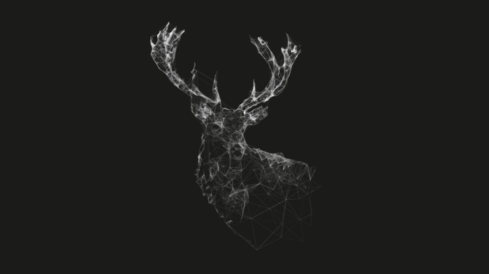 wireframe, minimalism, deer, lines