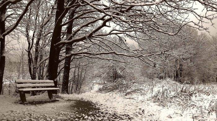 winter, snow, landscape, nature, bench