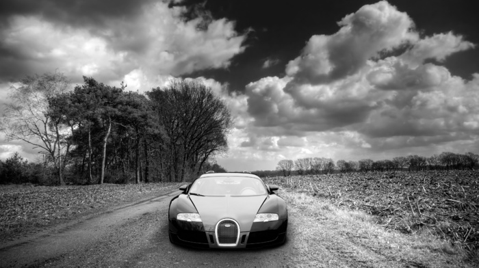 sportcar, Bugatti Veyron, clouds, auto, nature, road, trees, cars