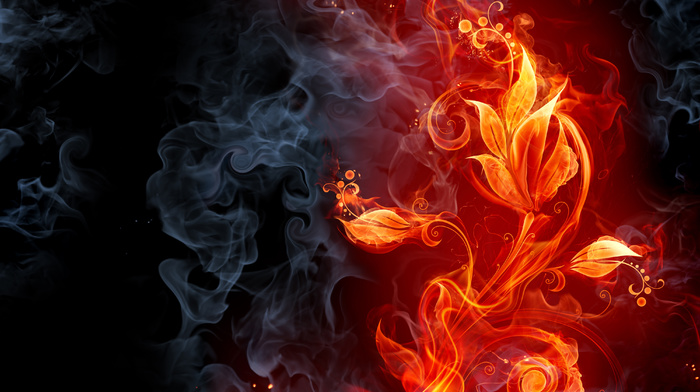 flower, creative, smoke, black, red, fire
