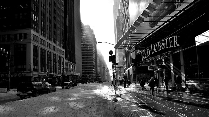 monochrome, New York City, snow, street