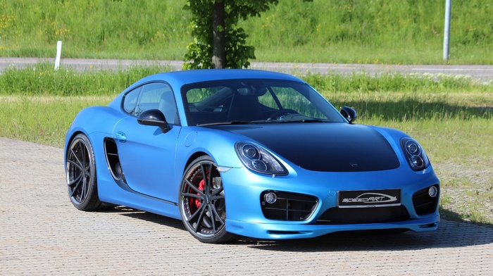 blue, nature, tree, cars, sportcar, road