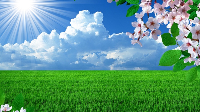 photoshop, Sun, spring, sky, flowers, field, clouds