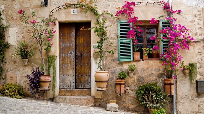 flowers, plants, stone, bougainvillea, door