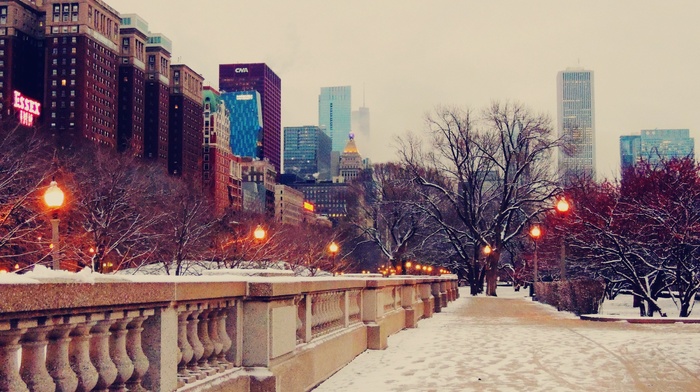 snow, park