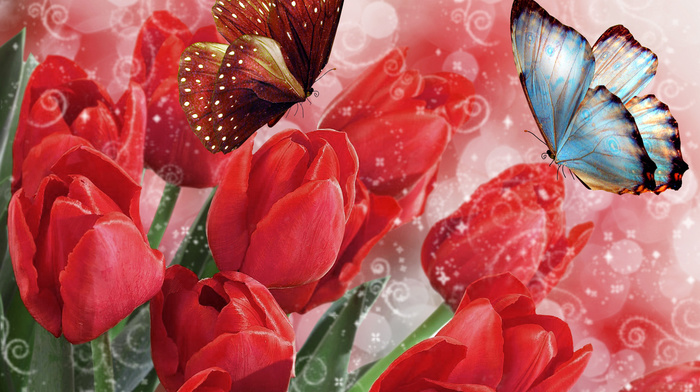 red, stunner, photoshop, tulips