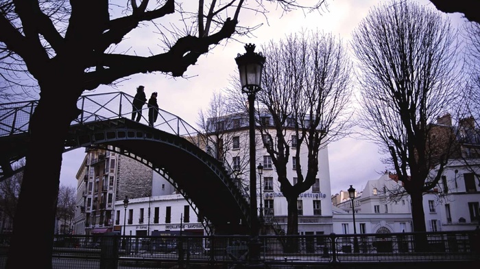 bridge, tree, cities