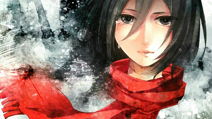 Shingeki no Kyojin, anime girls, Mikasa Ackerman, anime