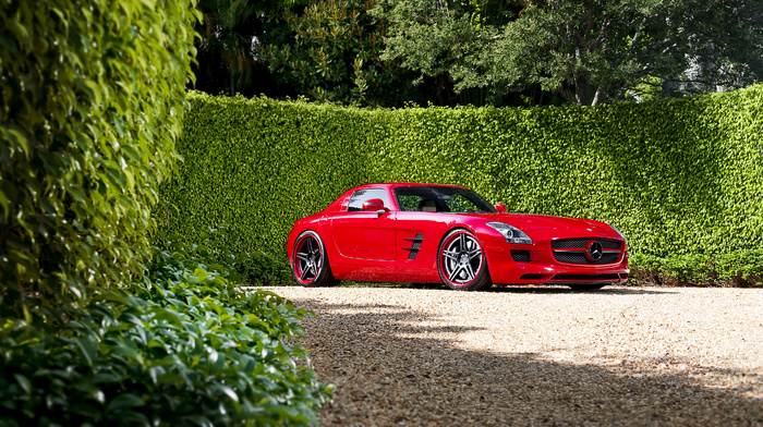 red, nature, trees, road, cars, sportcar