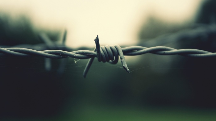 wire, barbed wire, depth of field