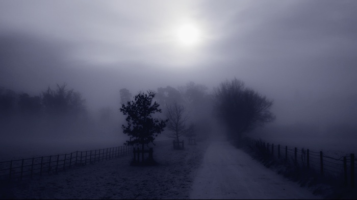 calm, road, mist