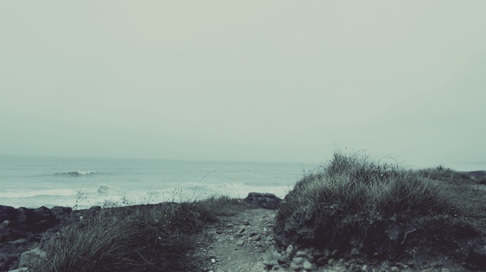 road, beach