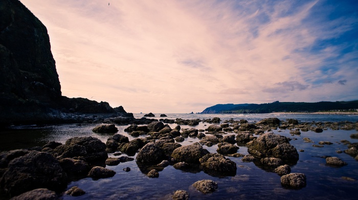 landscape, beach