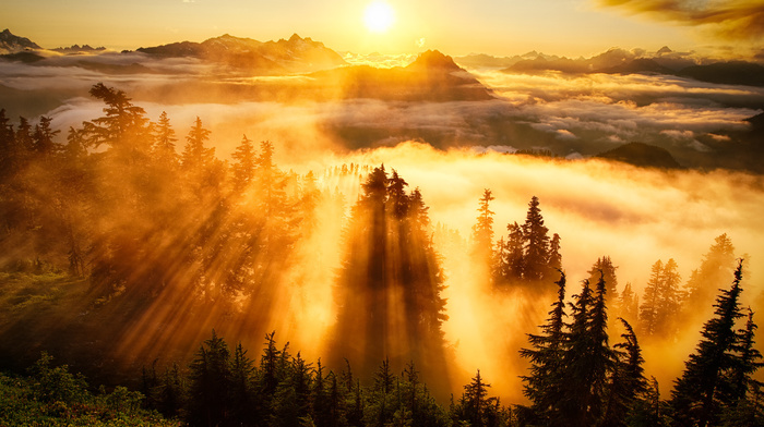 nature, sunset, mountain, dawn, sky, mist, Sun, clouds, forest