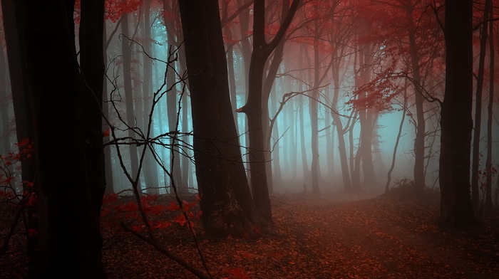 nature