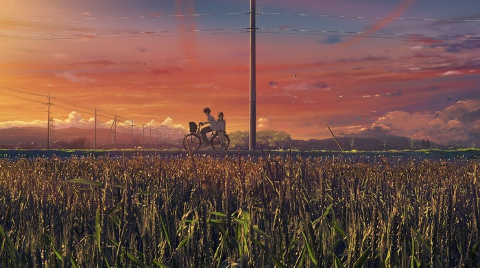 bicycle, anime, grass, landscape, sunset