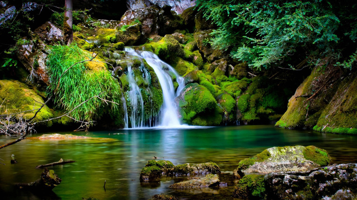 beauty, nature, moss, waterfall, trees, stones, creek, lake