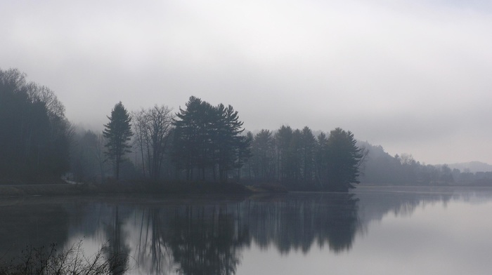 nature, lake, mist