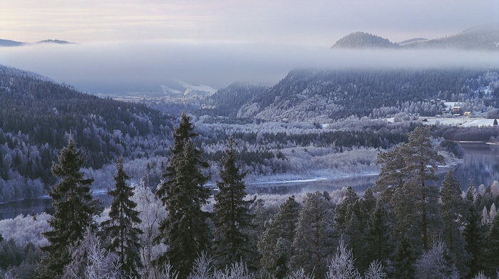 nature, landscape, river, forest, villages