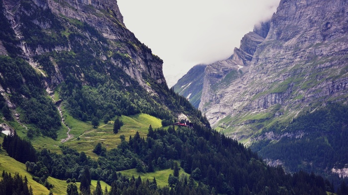 mountain, landscape