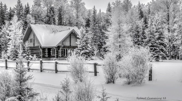 house, winter, nature