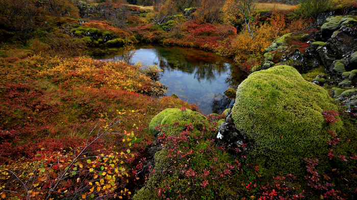 lake, landscape, nature